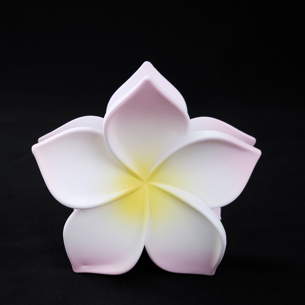 PELLIZCO PLASTICO P/ CABELLO 8 CM