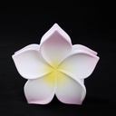 PELLIZCO PLASTICO P/ CABELLO 8 CM