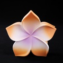 PELLIZCO PLASTICO P/ CABELLO 8 CM