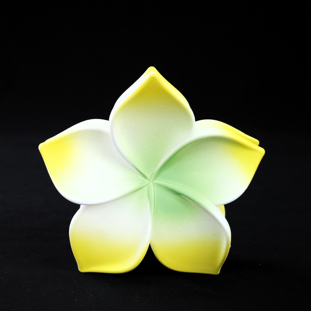 PELLIZCO PLASTICO P/ CABELLO 8 CM