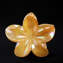 PELLIZCO PLASTICO P/ CABELLO 8 CM