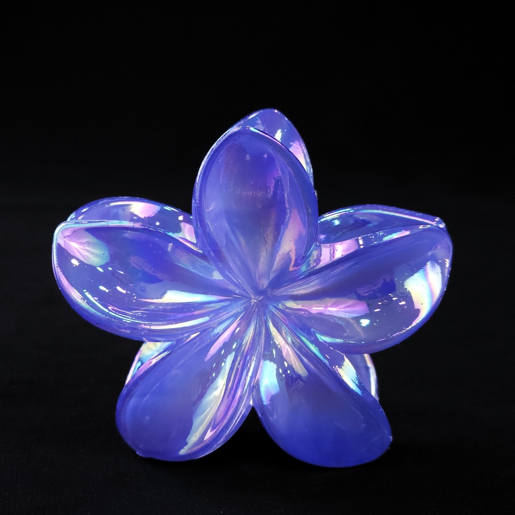 PELLIZCO PLASTICO P/ CABELLO 8 CM