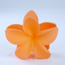 PELLIZCO PLASTICO P/ CABELLO 8 CM