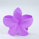 PELLIZCO PLASTICO P/ CABELLO 8 CM