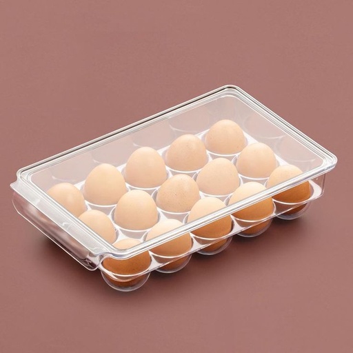 [0519] Caja para almacenar huevos 2